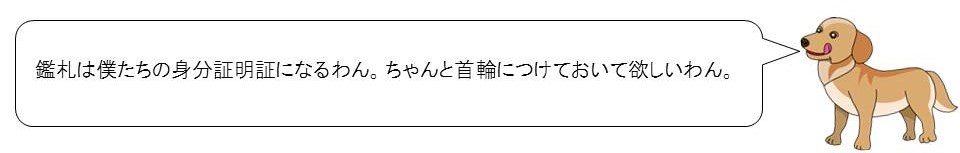 鑑札は僕たちの身分証明書になるわん。ちゃんと首輪につけてほしいわん。