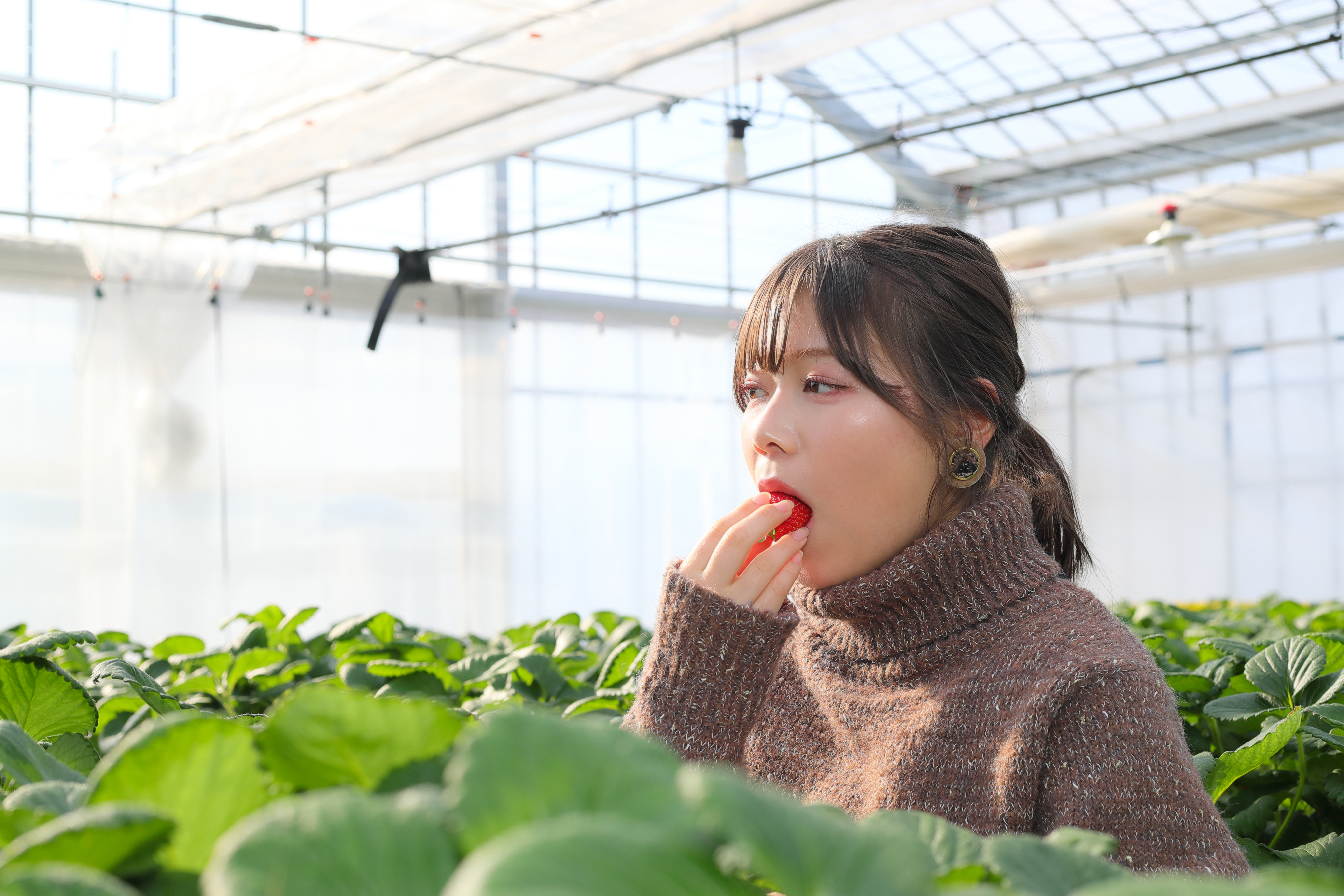 いちごを食べる女性の写真