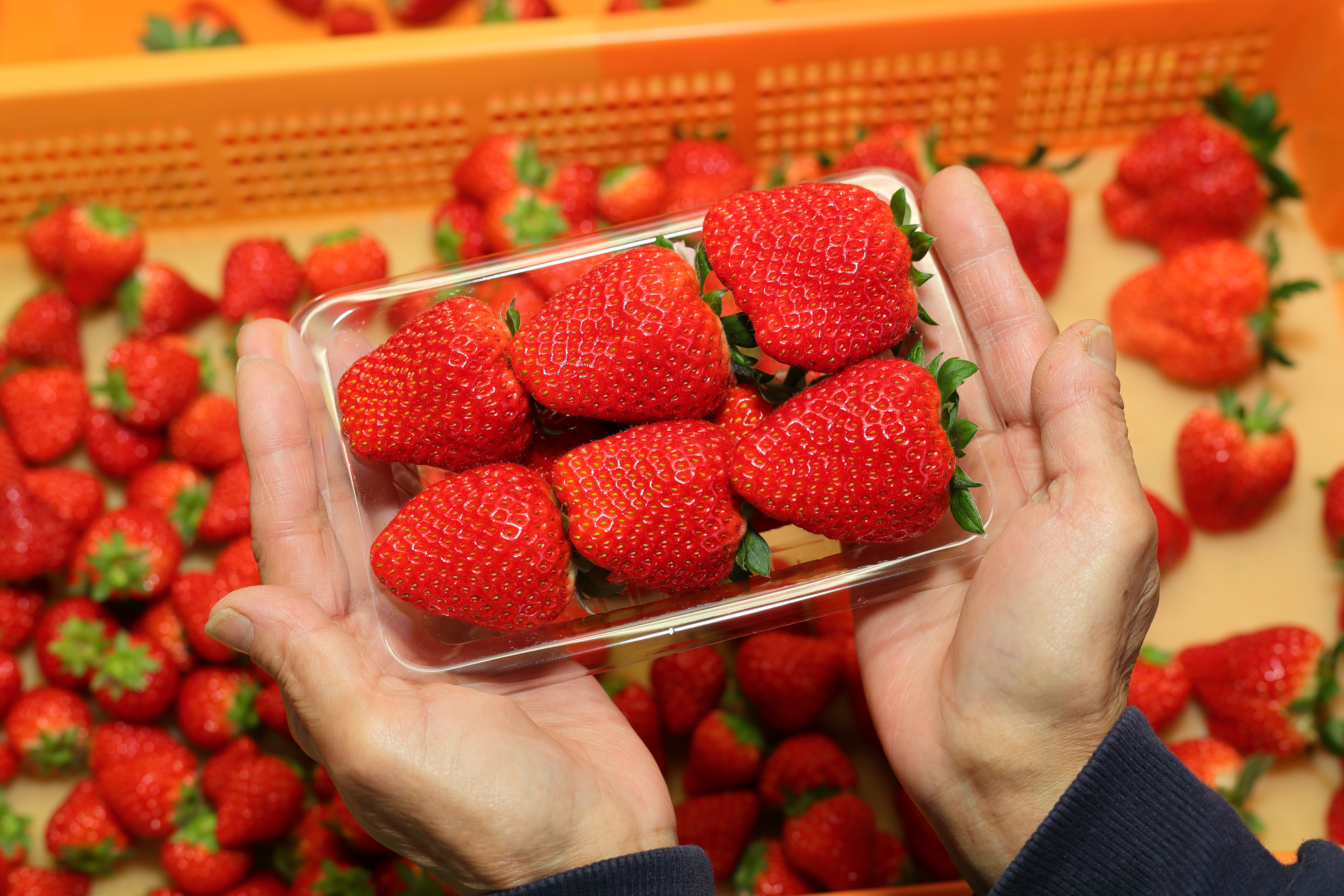 優しさも美味しさの理由　様々な商品も味わえる