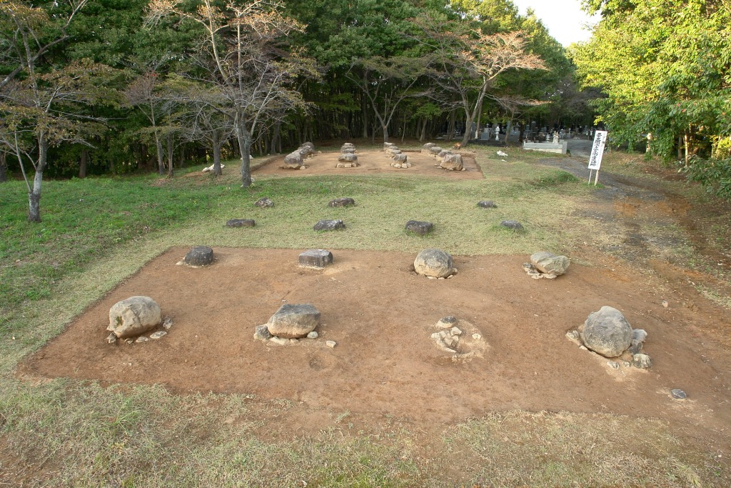 三十三間堂官衙遺跡（国指定）を近くから見た様子