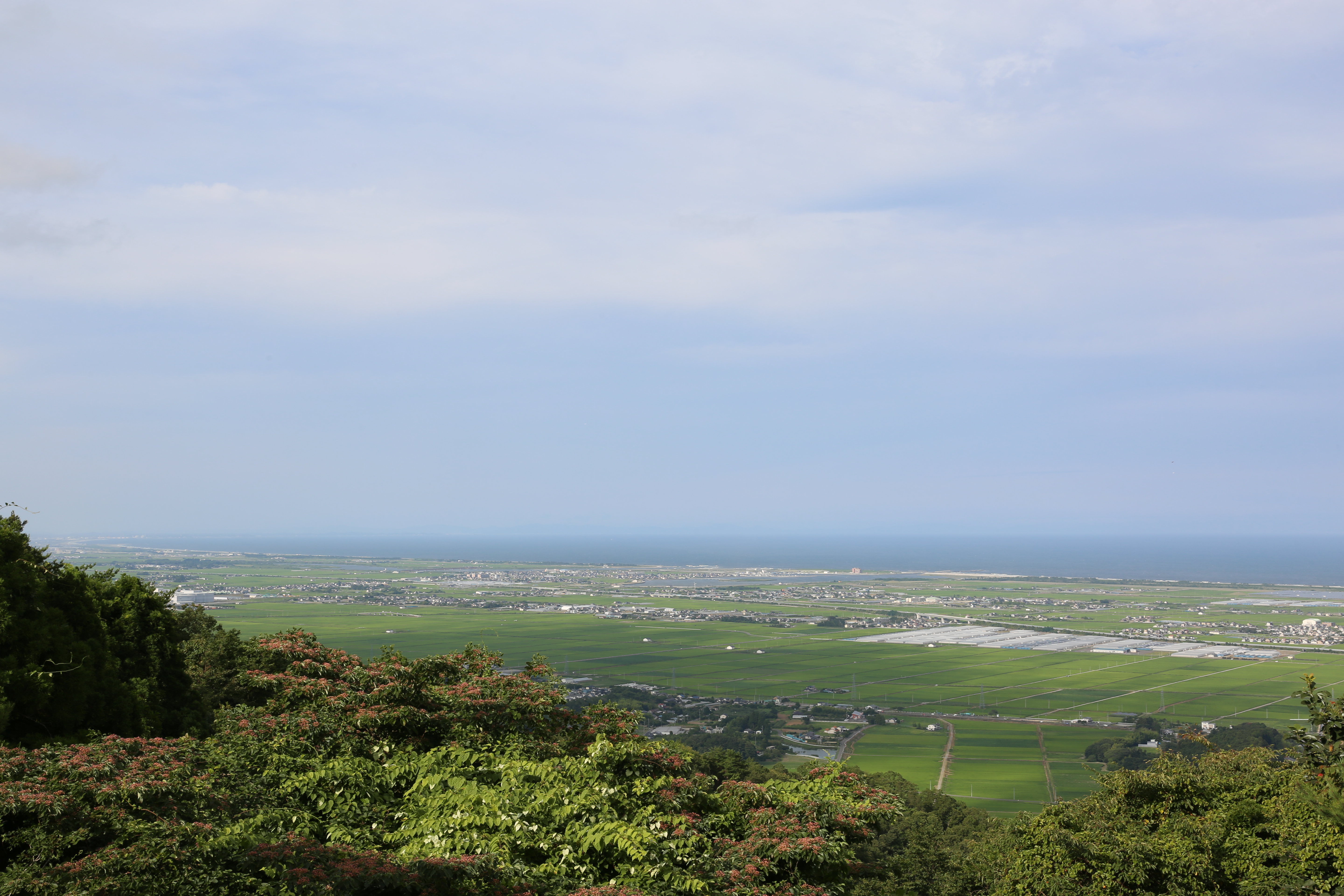 四方山からみた町並みの写真