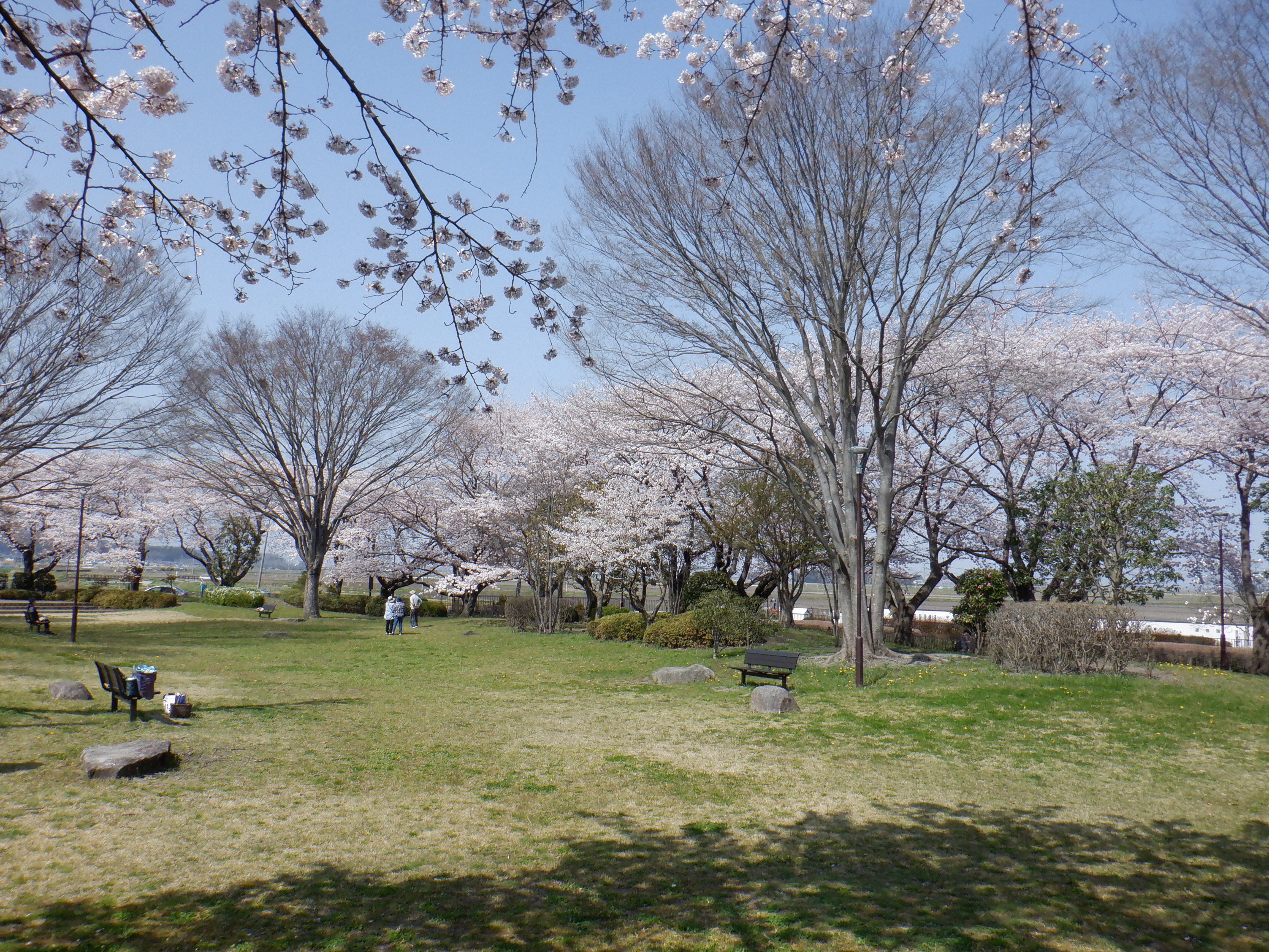 広場の様子