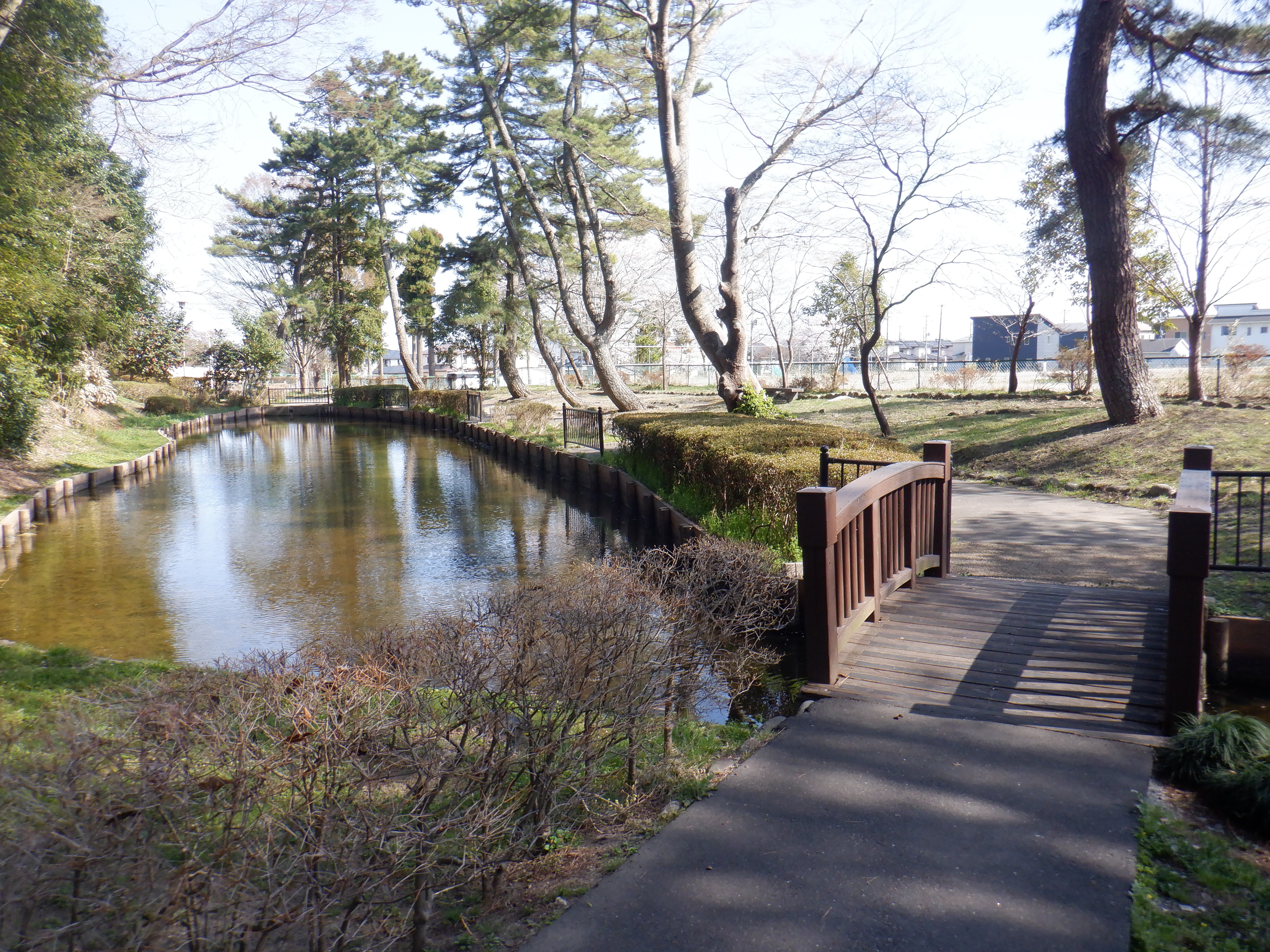 池及び池