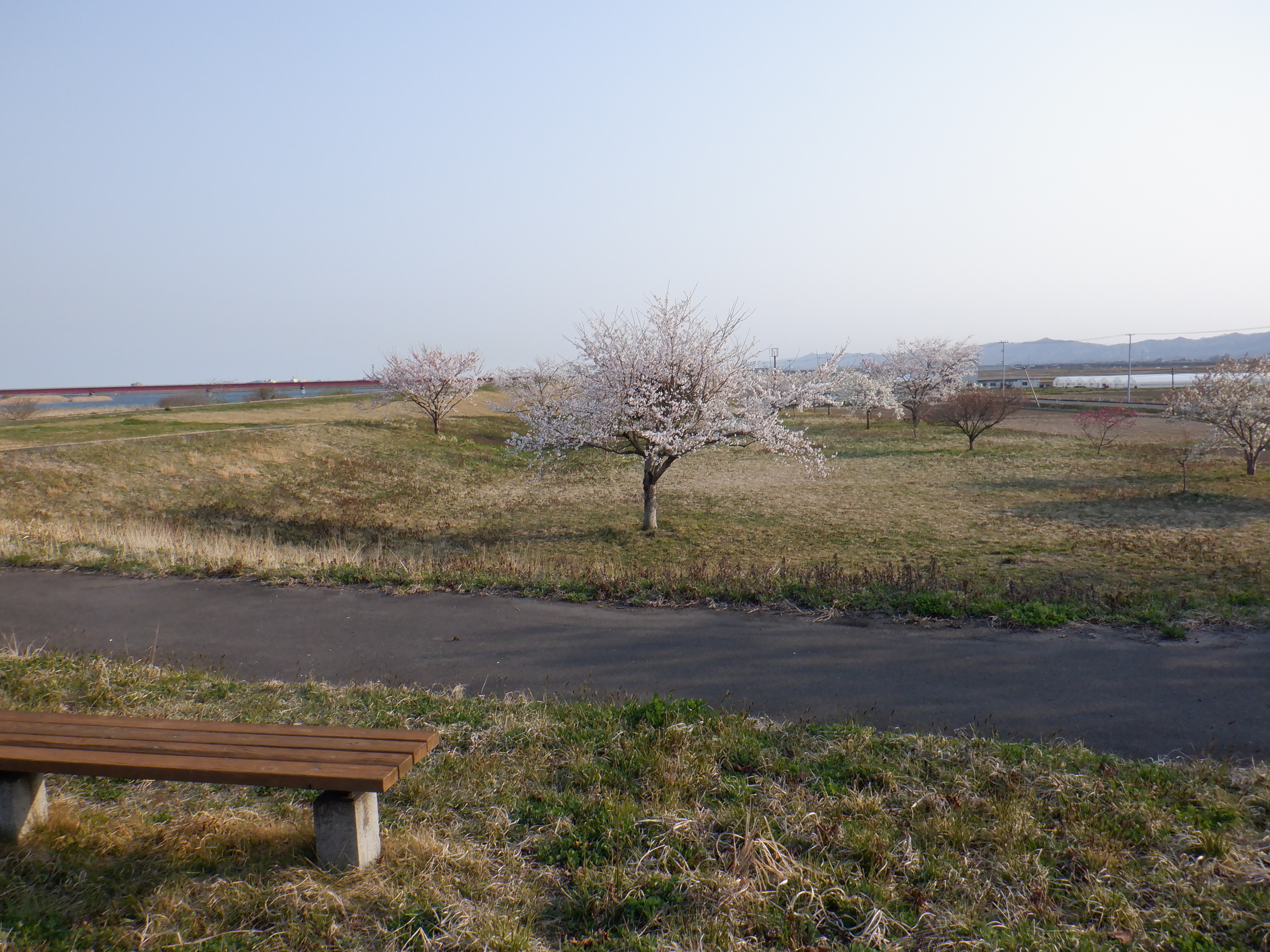 ひろば