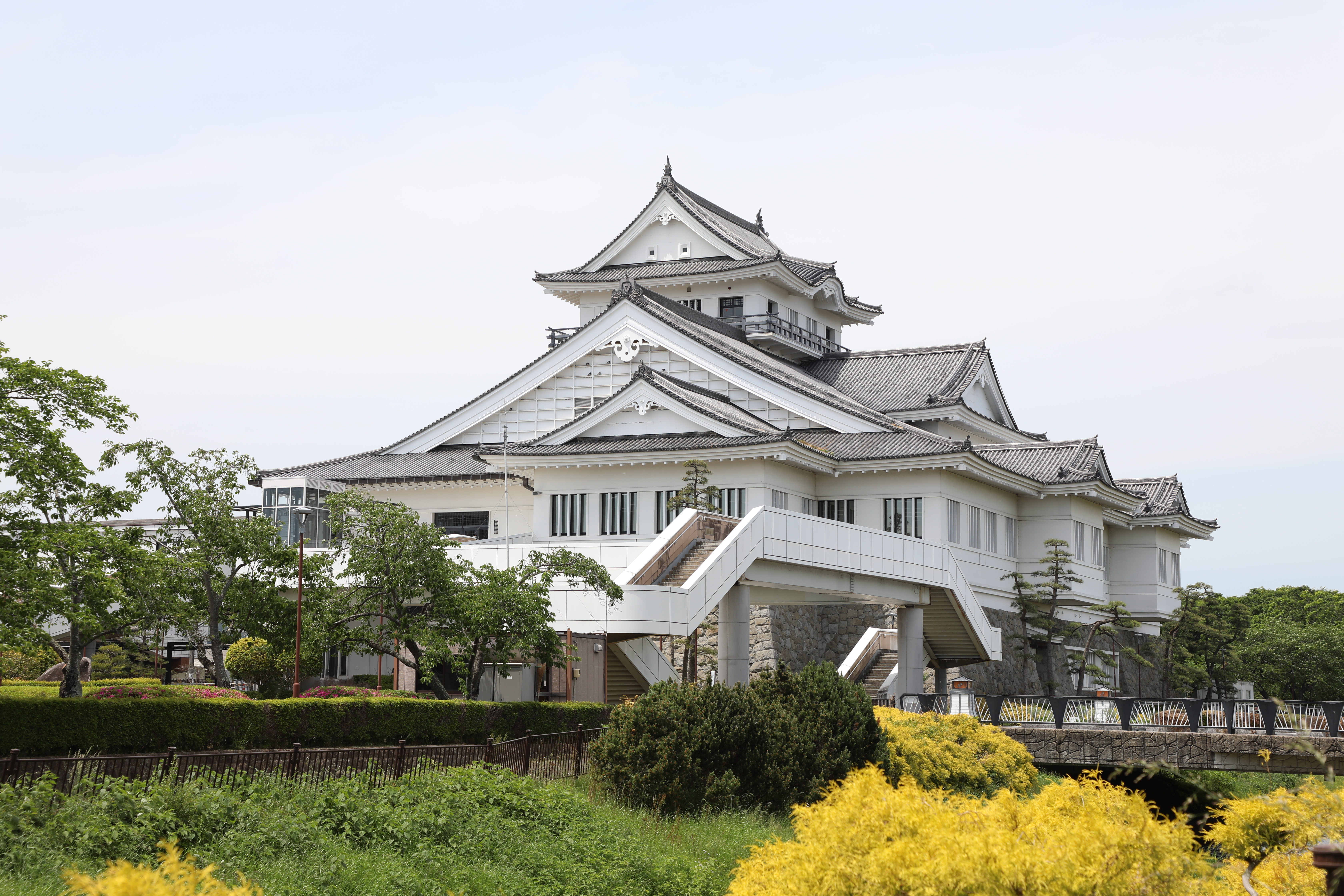 画像4