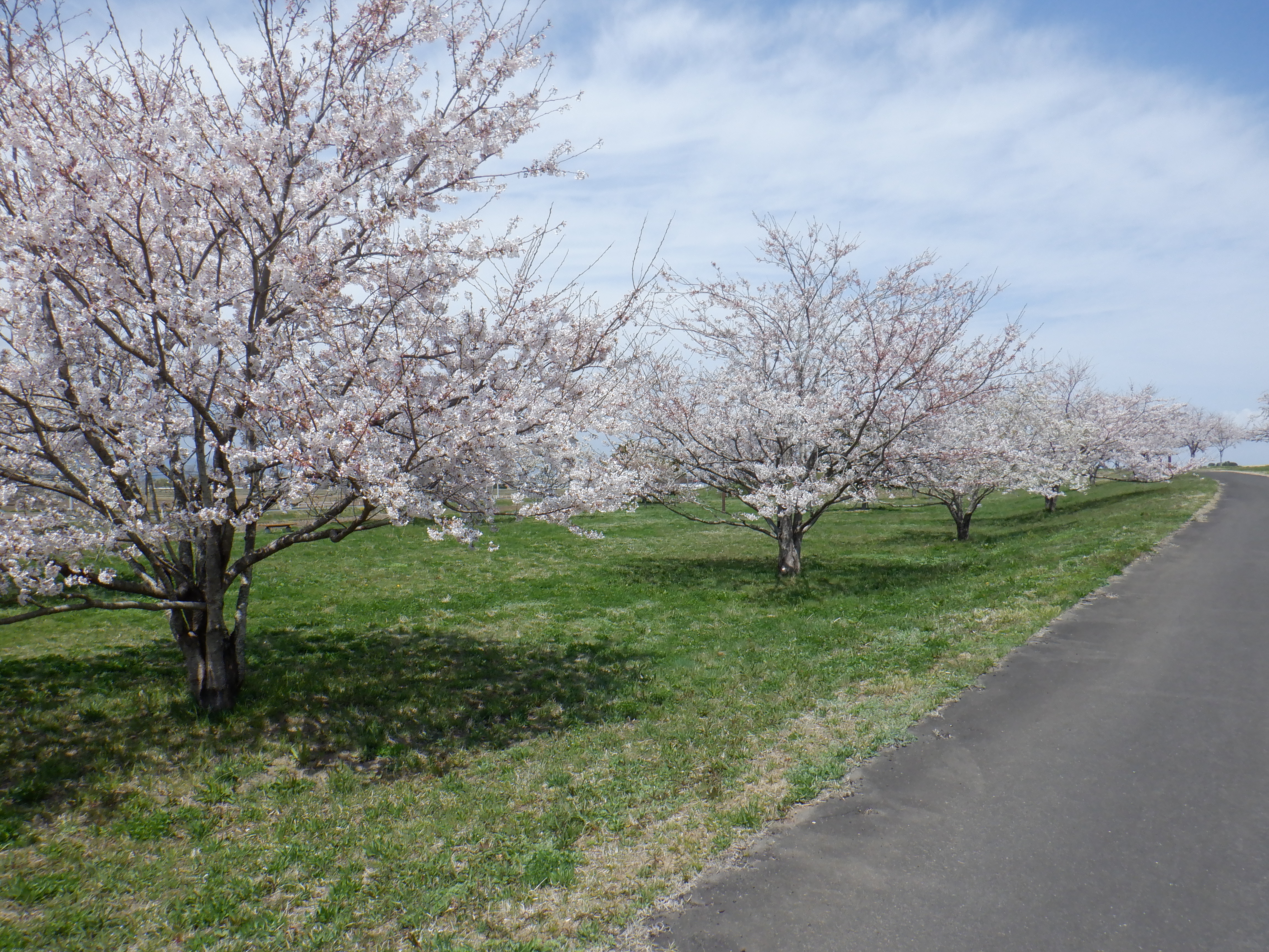 公園