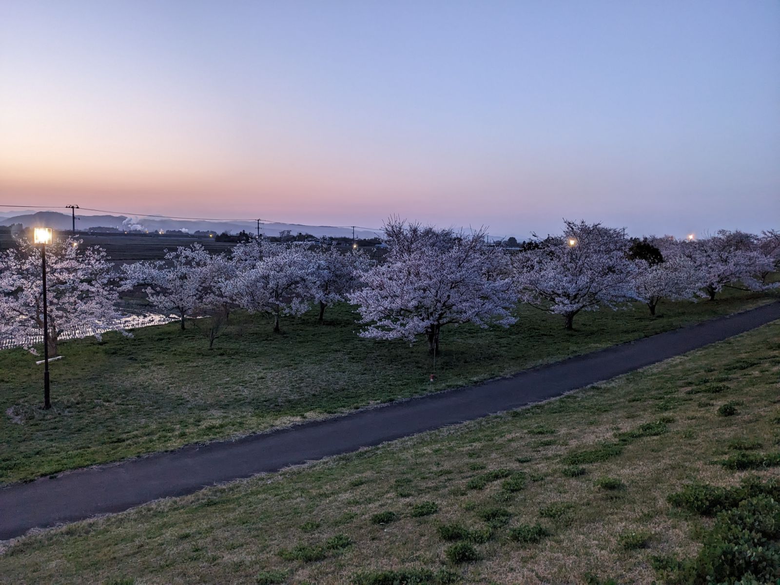 遊歩道