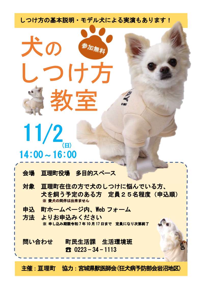 チラシ