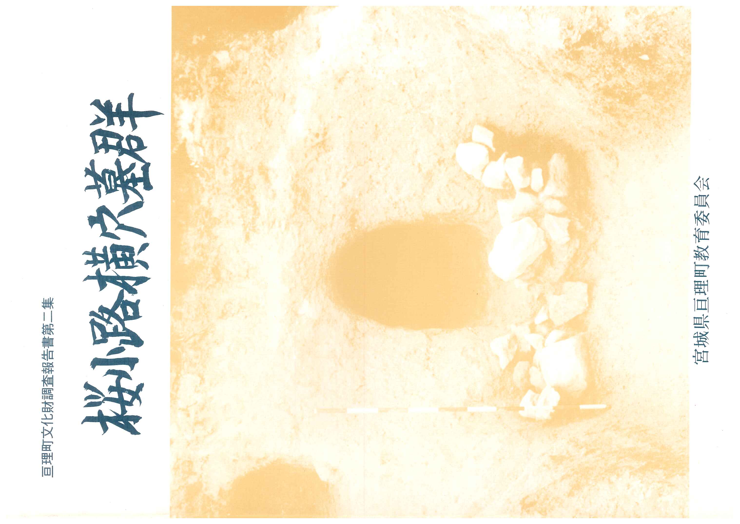 文化財調査報告書　桜小路横穴墓群